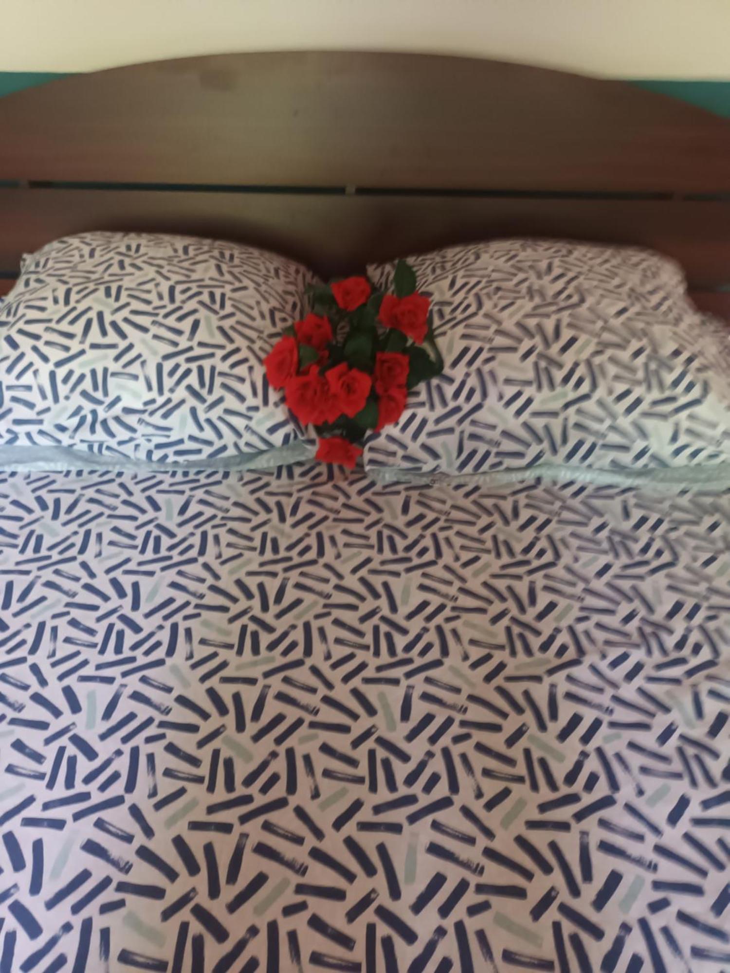 Lovely Flowers In Mount Lavinia Dehiwala-Mount Lavinia Exteriör bild