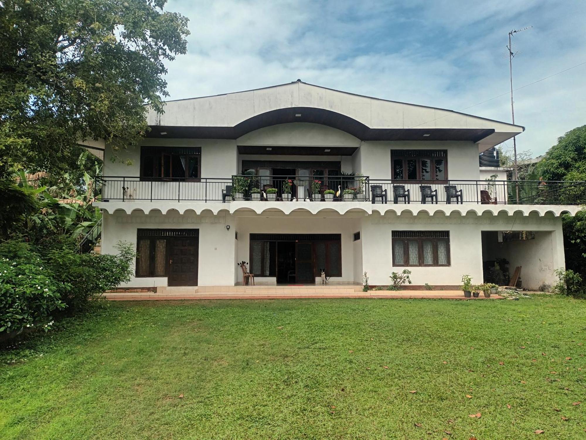 Lovely Flowers In Mount Lavinia Dehiwala-Mount Lavinia Exteriör bild