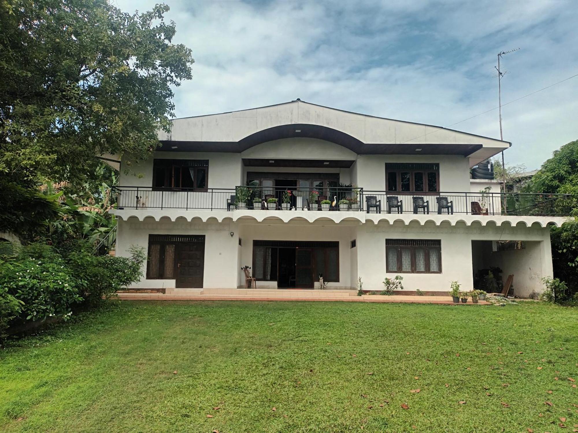 Lovely Flowers In Mount Lavinia Dehiwala-Mount Lavinia Exteriör bild