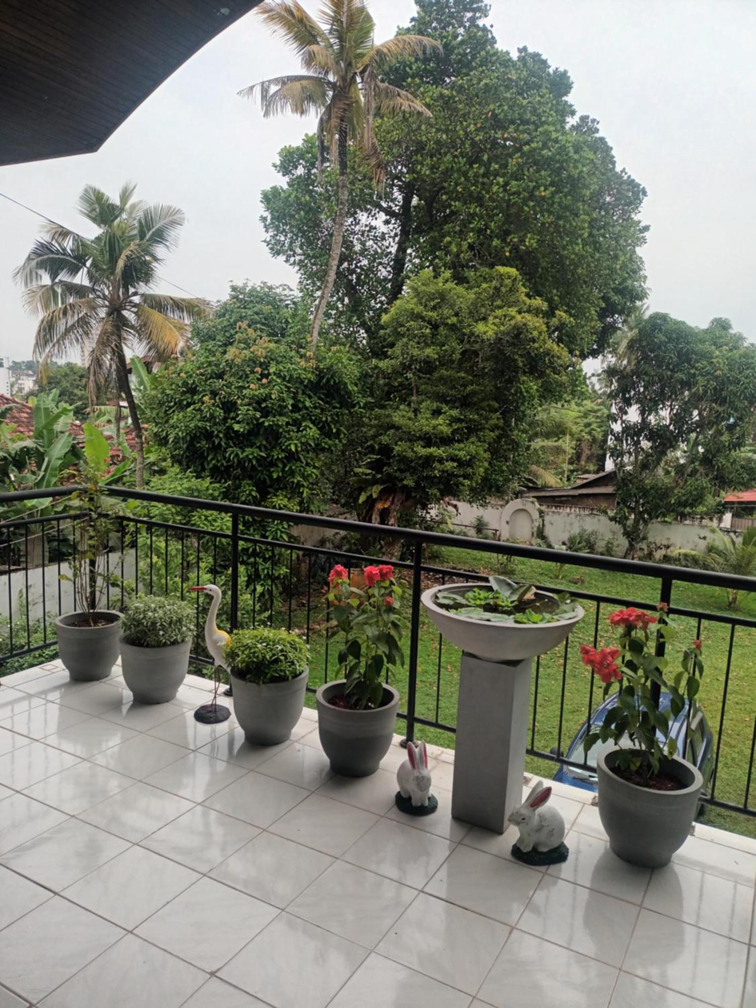 Lovely Flowers In Mount Lavinia Dehiwala-Mount Lavinia Exteriör bild