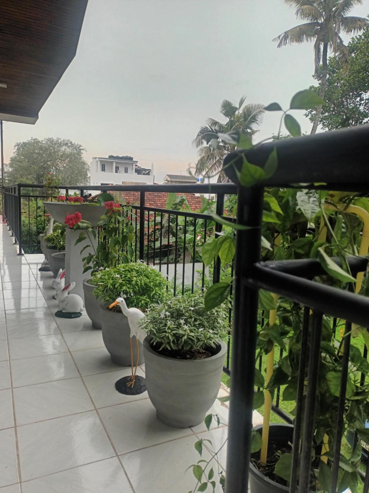 Lovely Flowers In Mount Lavinia Dehiwala-Mount Lavinia Exteriör bild